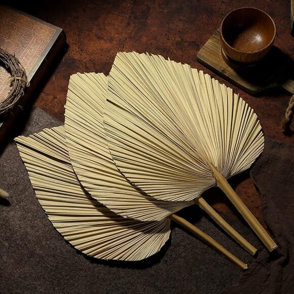 NEW Dried Palm Leaf Spears - Picture 1 of 5